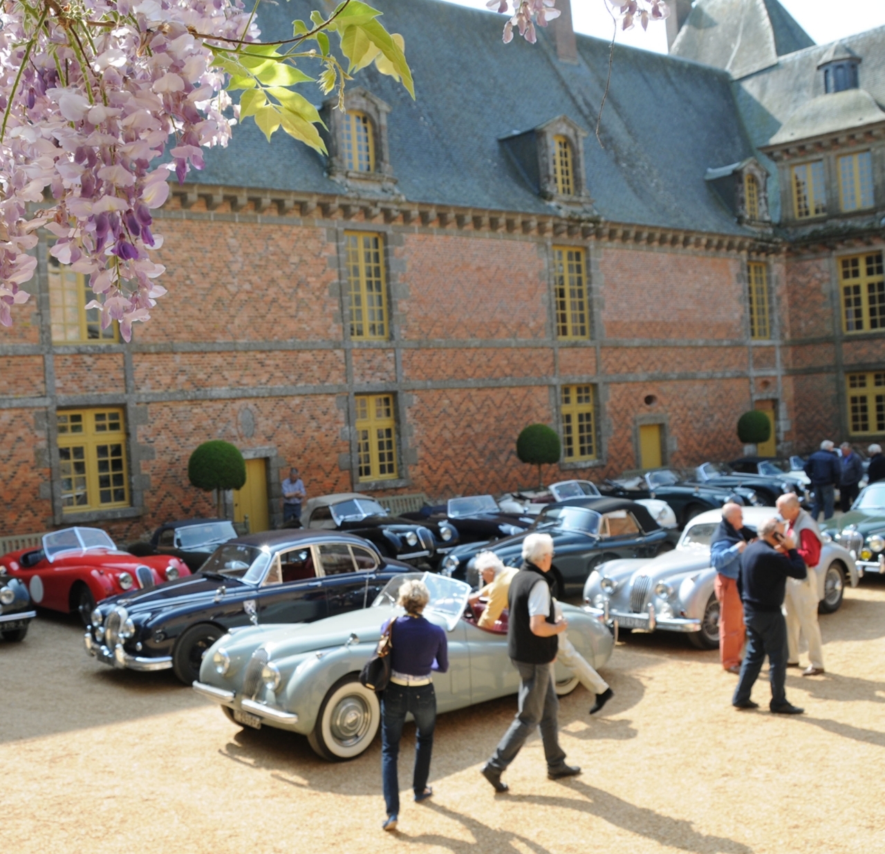 Amicale-jaguar-de-france-évènement-Rassemblement-jaguar-anciennes