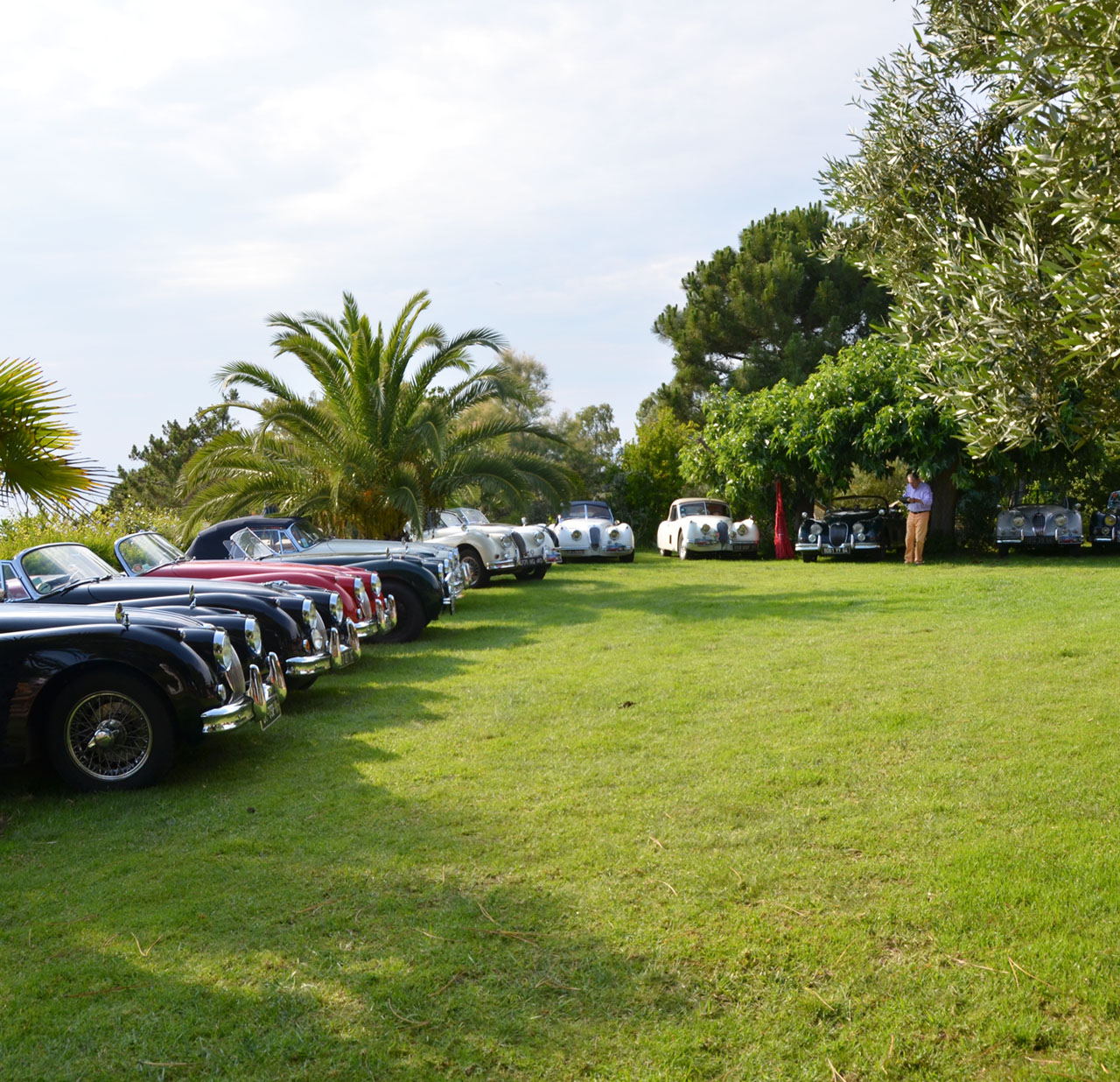 Amicale-jaguar-de-france-évènement-Rassemblement-jaguar-anciennes