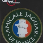 Badge pare brise new look