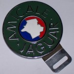 Badge émaillé vert